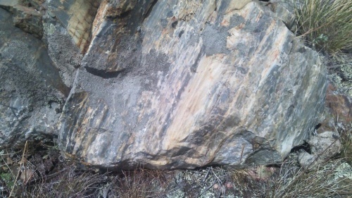 Гигантские зелёные валуны для ландшафтного дизайна весом более 5 тонн купить в Ханты-Мансийске